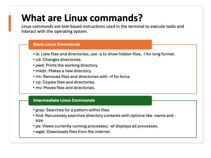 Day 2: Mastering Linux File User and Disk Management: Essential ...